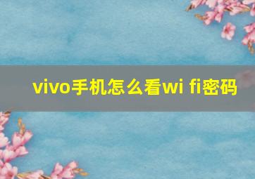 vivo手机怎么看wi fi密码